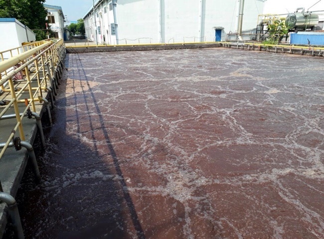 Dịch vụ cho thu&ecirc; xe bồn vận chuyển b&ugrave;n vi sinh v&agrave; khu vực thực hiện